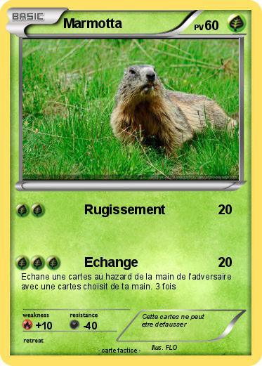 Pokemon Marmotta