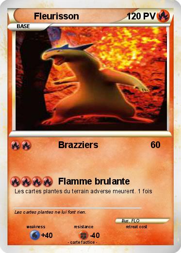 Pokemon Fleurisson