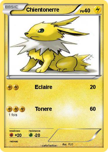 Pokemon Chientonerre