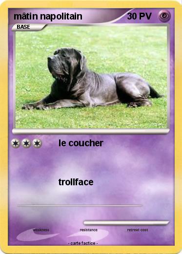 Pokemon mâtin napolitain