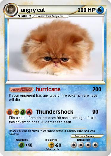 Pokemon angry cat