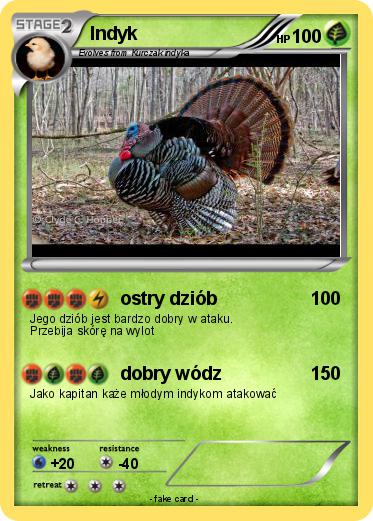 Pokemon Indyk