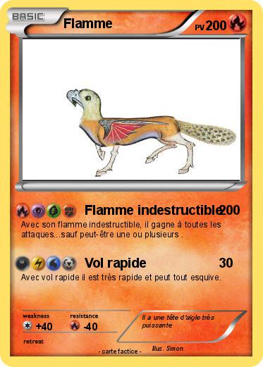 Pokemon Flamme