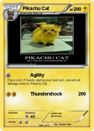 Pokemon Pikachu Cat