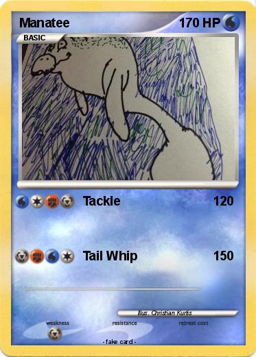 Pokemon Manatee