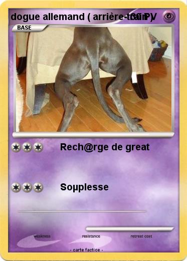 Pokemon dogue allemand ( arrière-train )