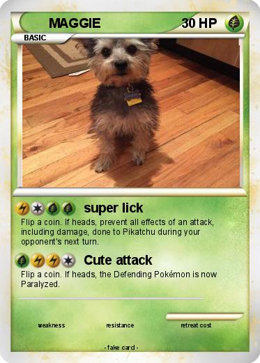 Pokemon MAGGIE