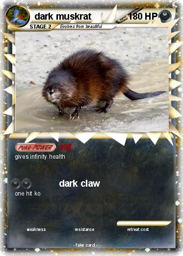 Pokemon dark muskrat