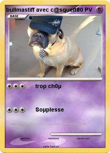 Pokemon bullmastiff avec c@squette