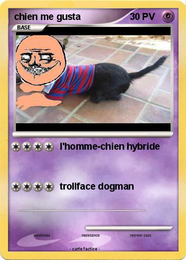 Pokemon chien me gusta