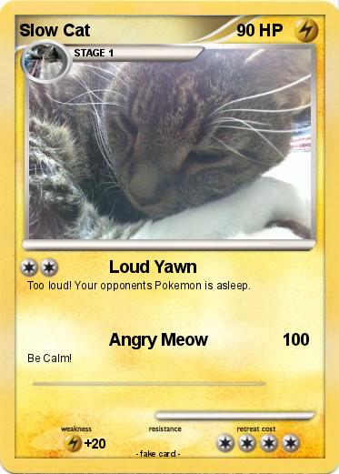 Pokemon Slow Cat