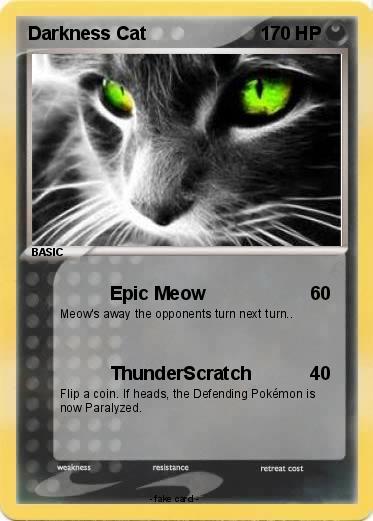 Pokemon Darkness Cat