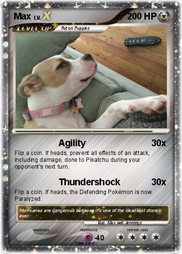 Pokemon Max