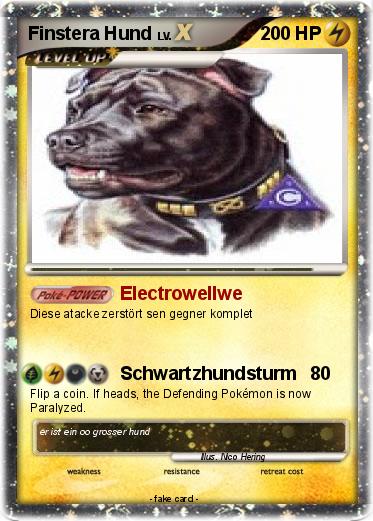 Pokemon Finstera Hund