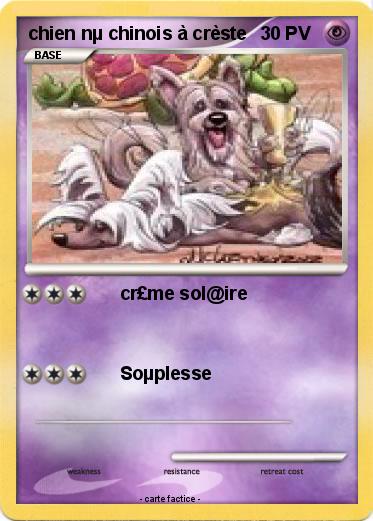 Pokemon chien nµ chinois à crèste