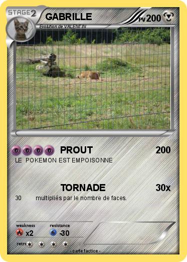 Pokemon GABRILLE