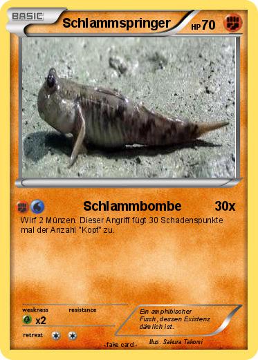 Pokemon Schlammspringer