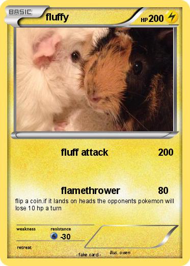 Pokemon fluffy