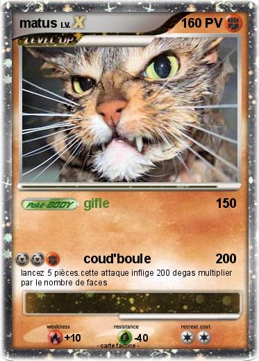 Pokemon matus