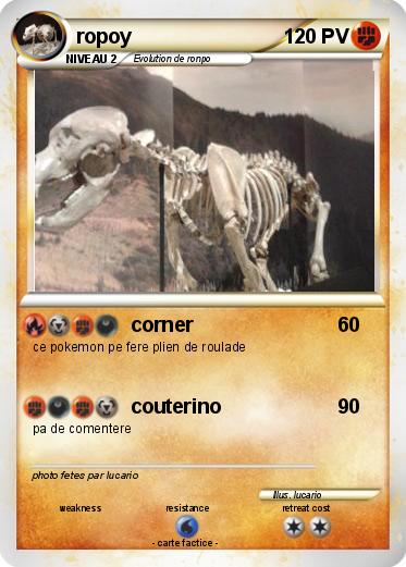 Pokemon ropoy