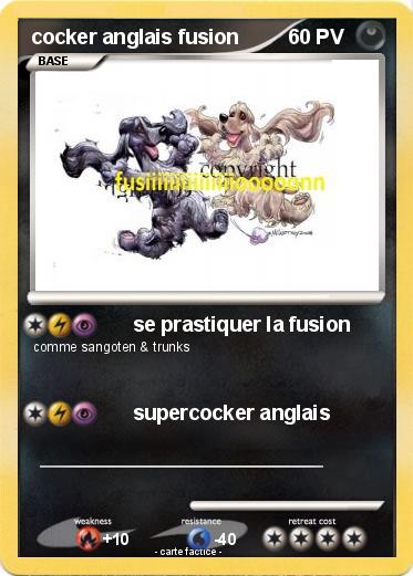 Pokemon cocker anglais fusion