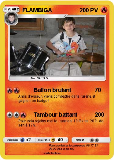 Pokemon FLAMBIGA