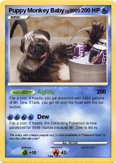 Pokemon Puppy Monkey Baby