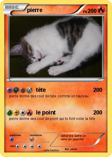Pokemon pierre