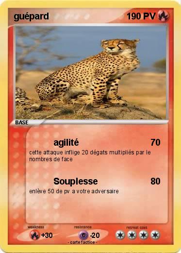 Pokemon guépard