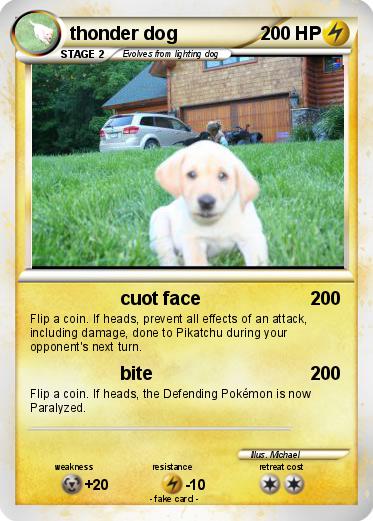 Pokemon thonder dog