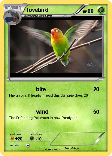 Pokemon lovebird