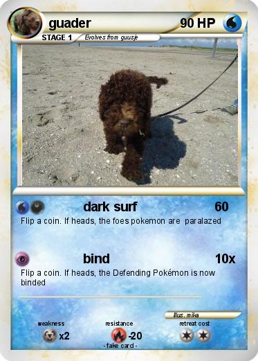 Pokemon guader