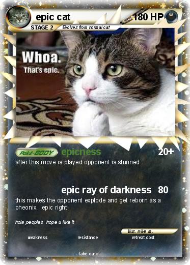 Pokemon epic cat
