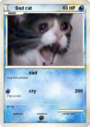 Pokemon Sad cat