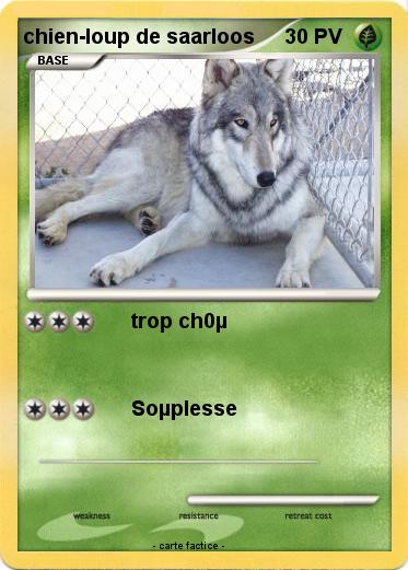 Pokemon chien-loup de saarloos