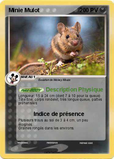 Pokemon Minie Mulot