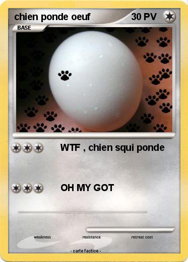 Pokemon chien ponde oeuf