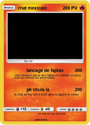 Pokemon chat mexicain