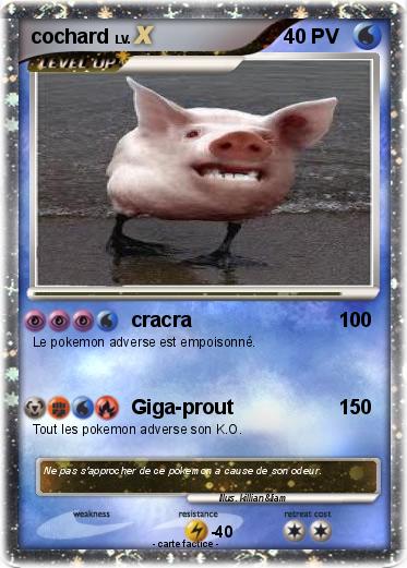 Pokemon cochard
