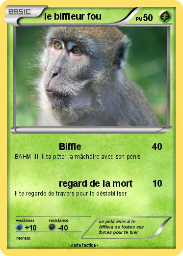 Pokemon le biffleur fou