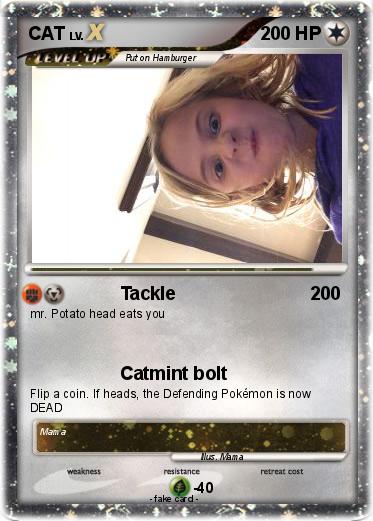 Pokemon CAT