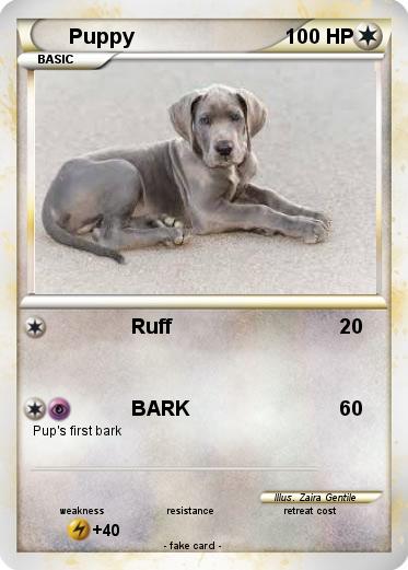 Pokemon Puppy