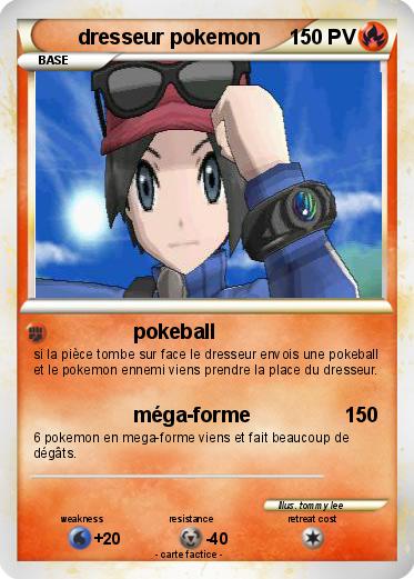 Pokemon dresseur pokemon