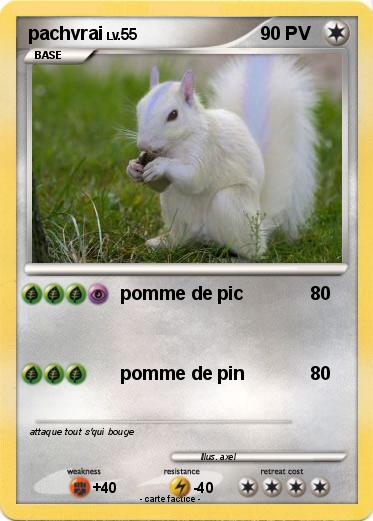 Pokemon pachvrai