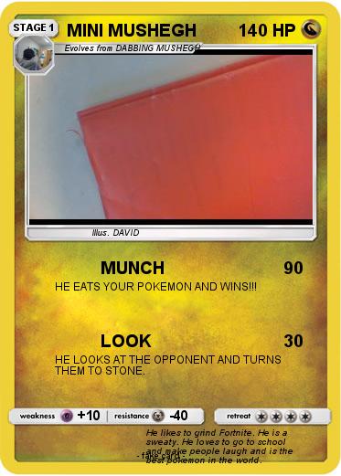 Pokemon MINI MUSHEGH
