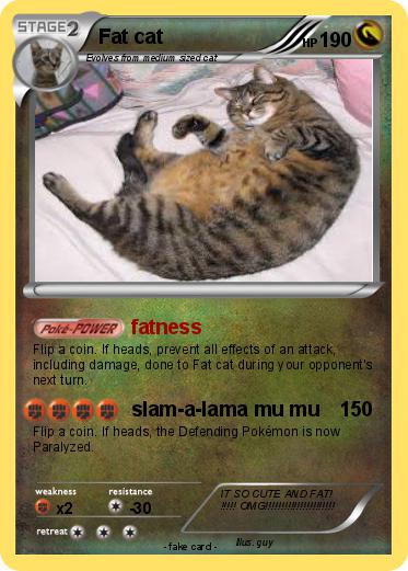 Pokemon Fat cat