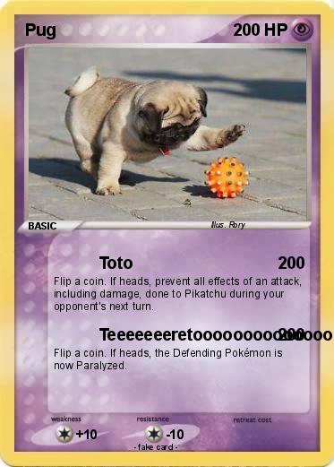 Pokemon Pug