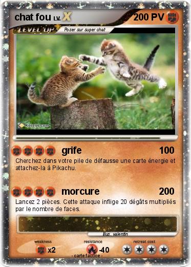 Pokemon chat fou