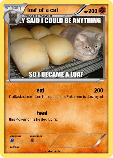 Pokemon loaf of a cat