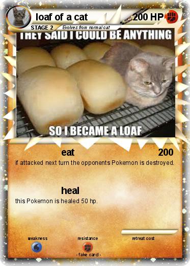 Pokemon loaf of a cat